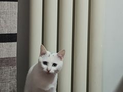 -美联众合动物医院·24h京西诊疗中心