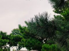 -北京古代建筑博物馆