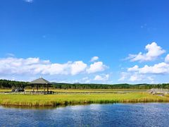 -塞罕坝国家级自然保护区