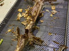 -西夏一品烤全羊(百桥路店)