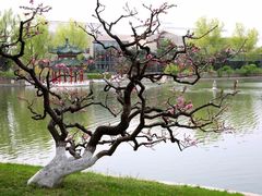 -钓鱼台国宾馆