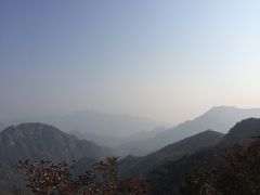 -大岭沟猕猴桃谷风景区