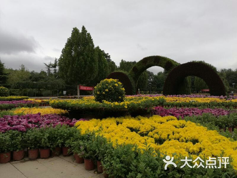 兰州市植物园(西南门店)图片 第86张