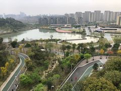 -飞凤山奥体公园