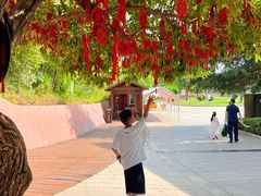 -中国西峡恐龙遗迹园