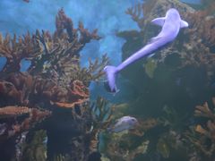 -多彩贵州城极地海洋世界