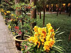 -成都武侯祠博物馆