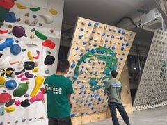 -绿壁虎攀岩基地(Tcar店)