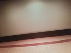 -武商摩尔影城(国广IMAX激光店)