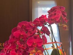 -喜湘宴·精致湖南菜(和平西桥店)