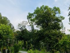 -河源御临门度假村温泉