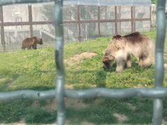 -祥源·阜阳生态乐园