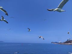 -海驴岛(荣成市)