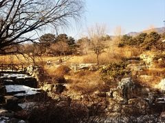 -北京西山国家森林公园