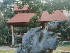 -云南勐巴娜西珍奇园
