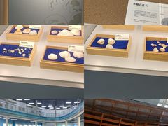-天津古林古海岸遗迹博物馆