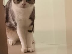 -宠颐生宠物医院·异宠猫科内科·诊疗中心宠巢店