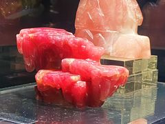 -中国地质博物馆