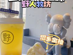 -野人牧坊Gelato(天津南开大悦城店)