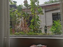 -蓝山四季西餐植物店