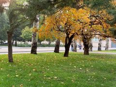 -中央民族大学