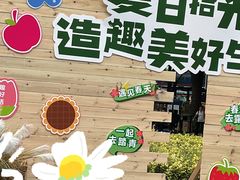 -海上田园