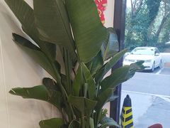 -丽泽山庄·生态怀柔菜·虹鳟鱼(红螺寺店)