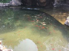 -盛世南宫影视城(北普陀影视城)