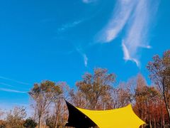 -春花秋色城市公园