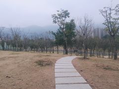 -牛岗山公园