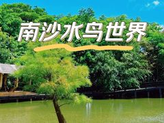 -南沙水鸟世界生态园