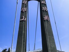 -西霞口神雕山野生动物世界