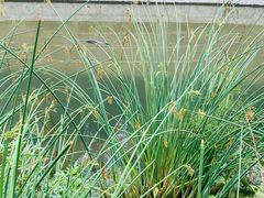 -白水寺森林公园