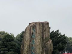 -昆山城市生态森林公园