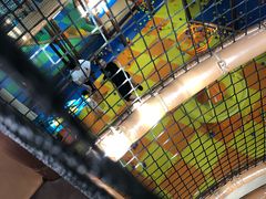 -蒙特利亲子乐园