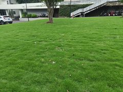 -布丁严选酒店(杭州武林西湖文化广场地铁站店)