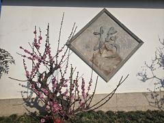 -无锡梅园公园
