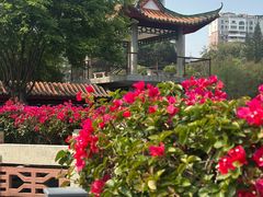 -深圳龙潭公园