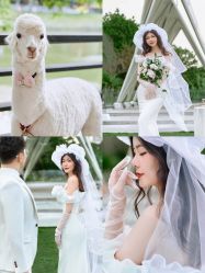 -花漾摄影优选工作室(东莞原创作品店)