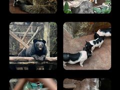 -长鹿旅游休博园