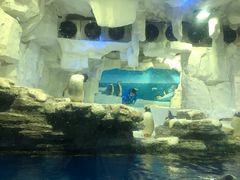 -华夏文旅海洋公园