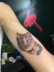 点击看大图 店内环境-PinooTattoo皮奴刺青纹身设计总部