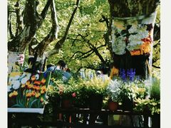 -上海共青森林公园