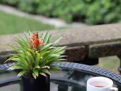 -马勒别墅·中餐厅