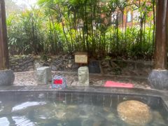 -明月山天沐温泉度假村