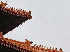 -故宫博物院(故宫)
