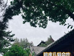 -隆兴寺