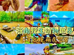 -济南野生动物世界