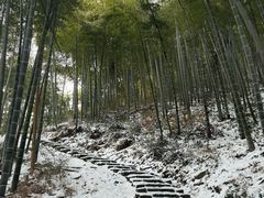 -莫干山风景区