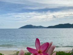 -日落吧·海景咖啡厅·餐酒吧·鸡尾酒·下午茶·乐队表演·浪漫夕阳·三亚文华东方酒店